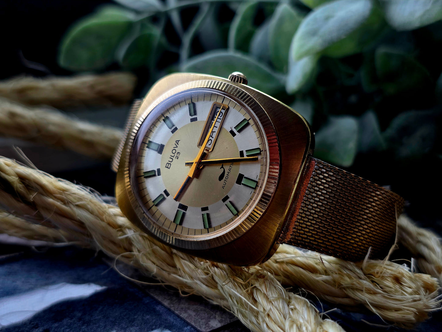 Bulova "Senator"