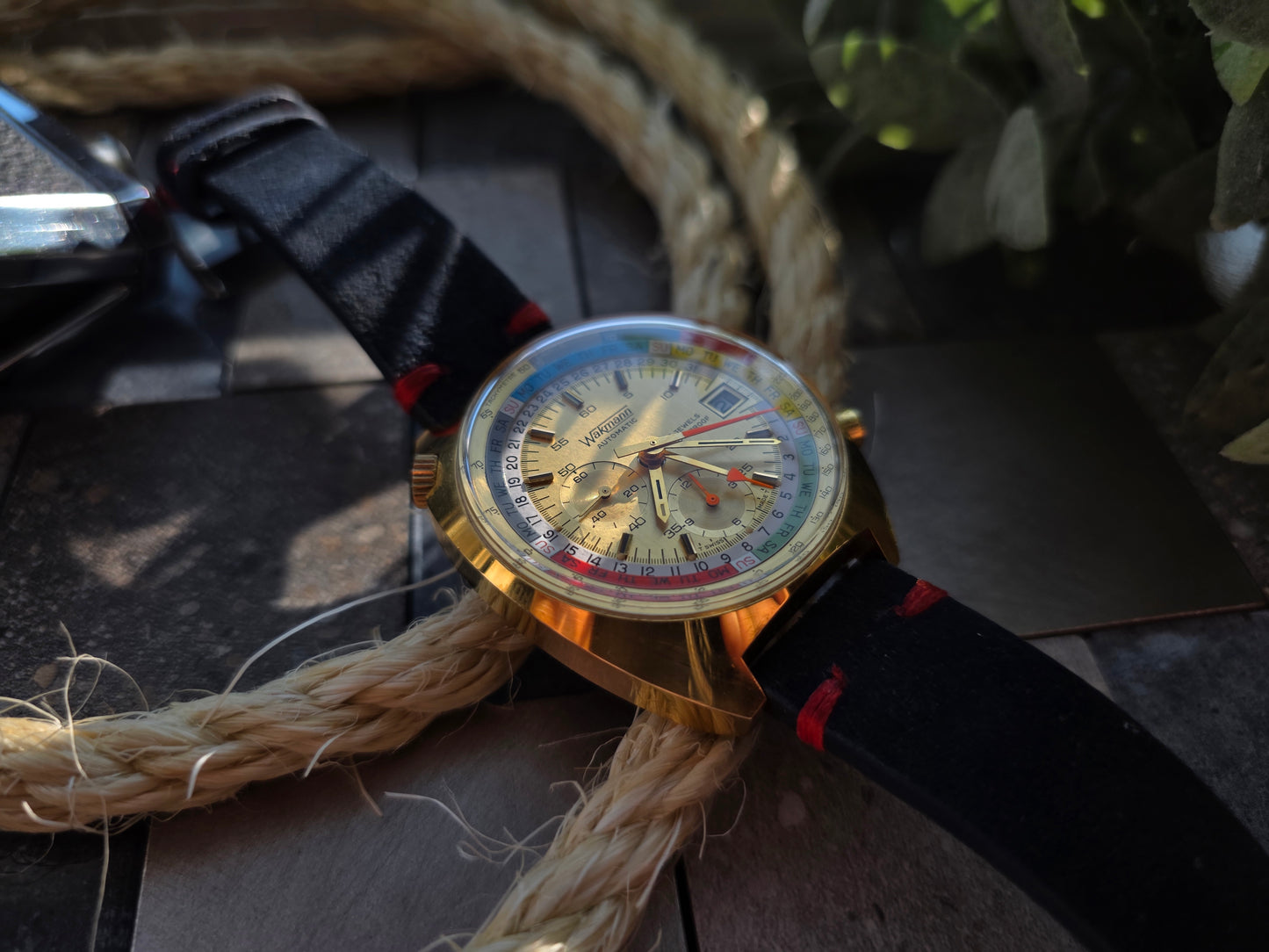 Wakmann Regatta Timer